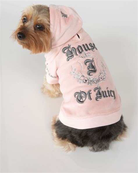 juicy couture dog